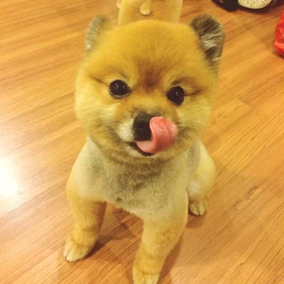 弘方百木家具店