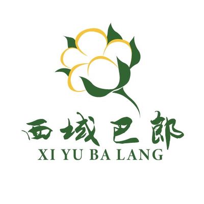 西域巴郎新疆棉被