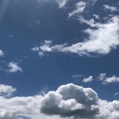 沧州东诚装饰公司