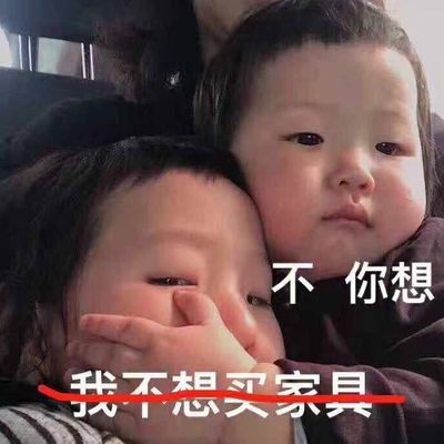 友居
