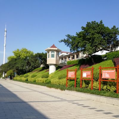 金戈6516