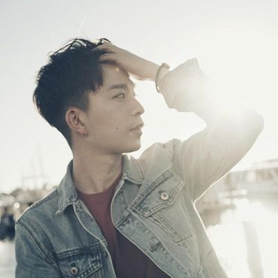 海绵菌