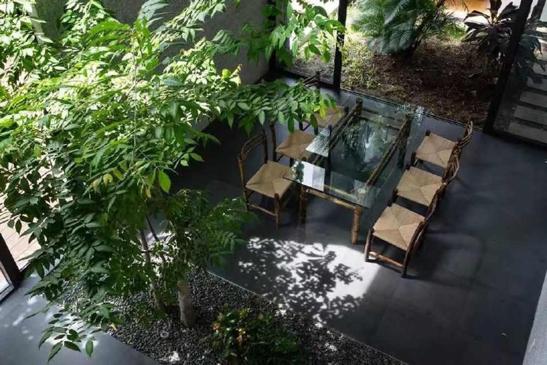 种满绿植的家居空间装修效果图片_1