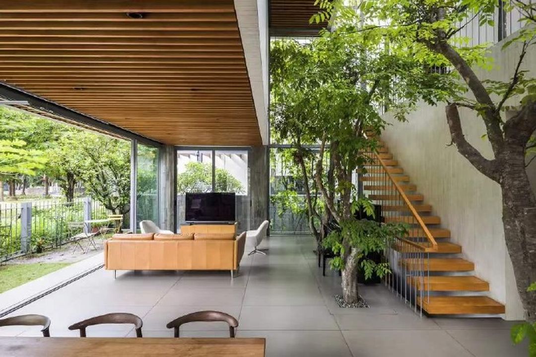 种满绿植的家居空间装修效果图片_3