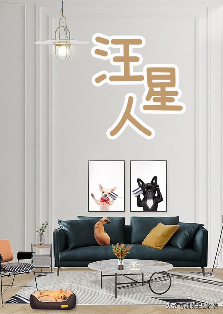 汪星人 少女主题装修效果图片_1