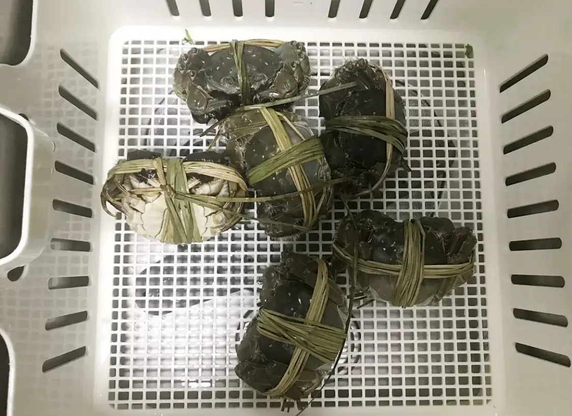 图片_1