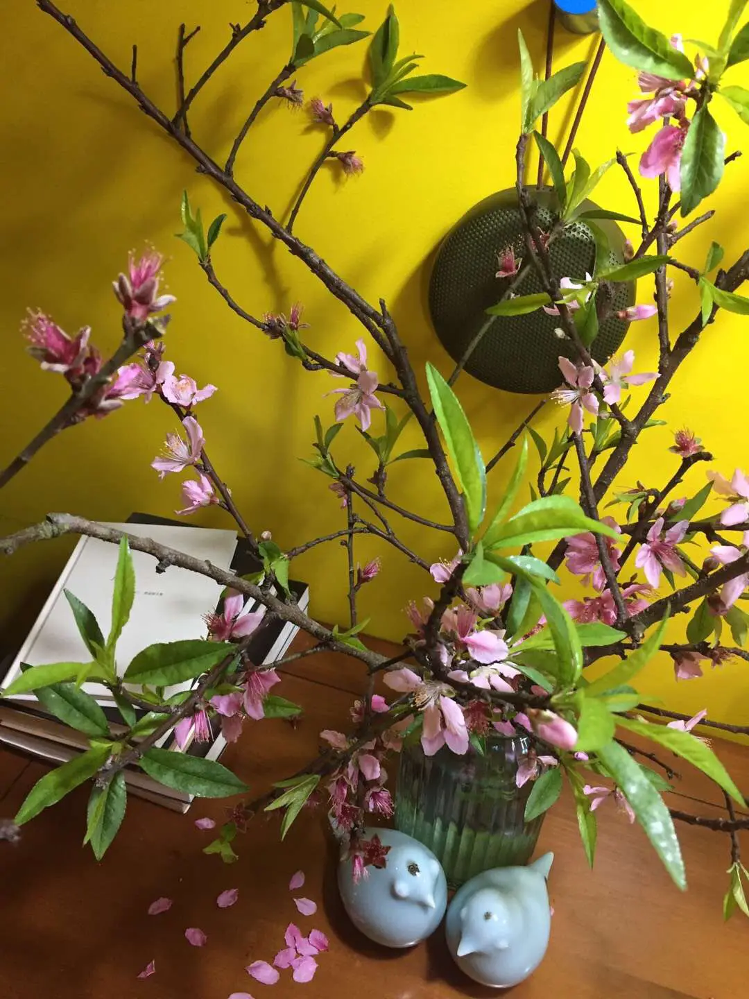 美物美器 御物有心 私藏B&O分享图片_0