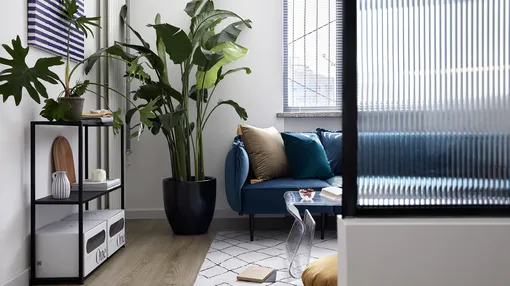 老城区旧宅大拆改，通透阳光带回“家”