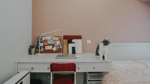 30种家居软装全淘宝，她家搭配的北欧ins风超好看