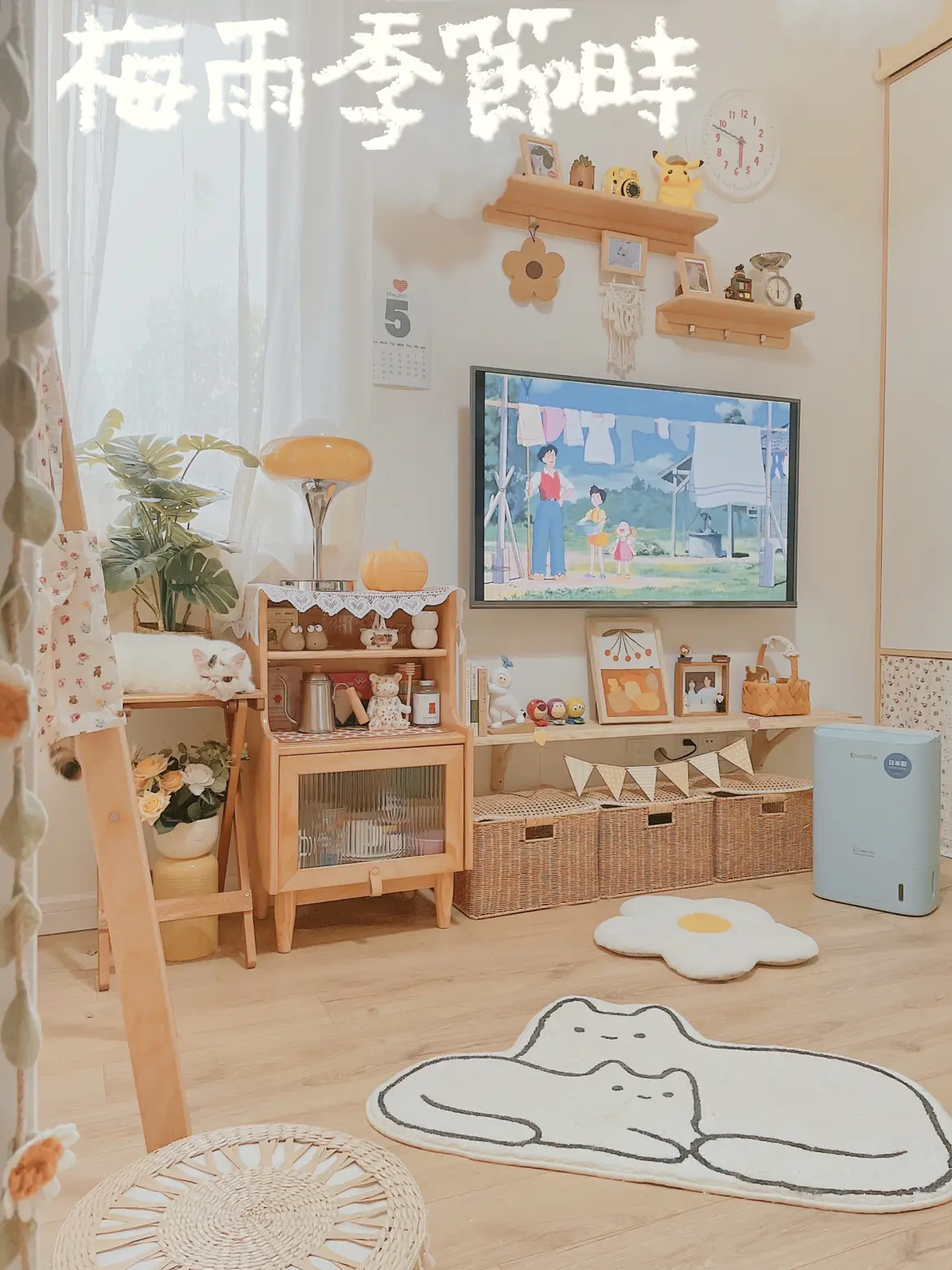 没有阳台的老破小梅雨季好物@住造计划图片_8