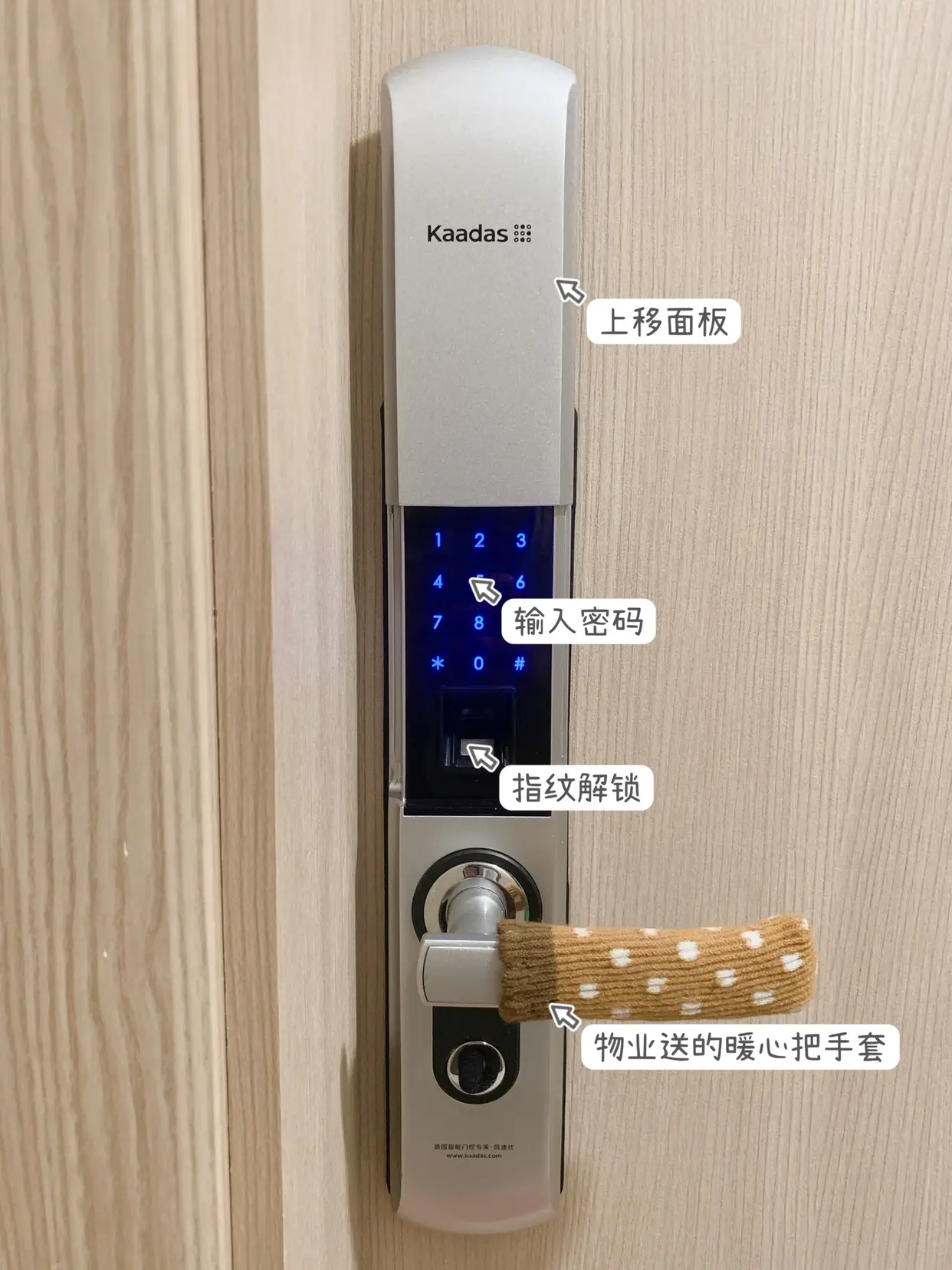 我家精装房的智能门锁Kadaas图片_2