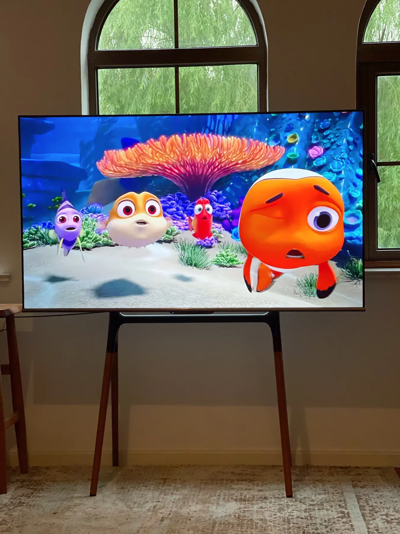 在家包场看电影的快乐怎是一个爽字了得图片_2