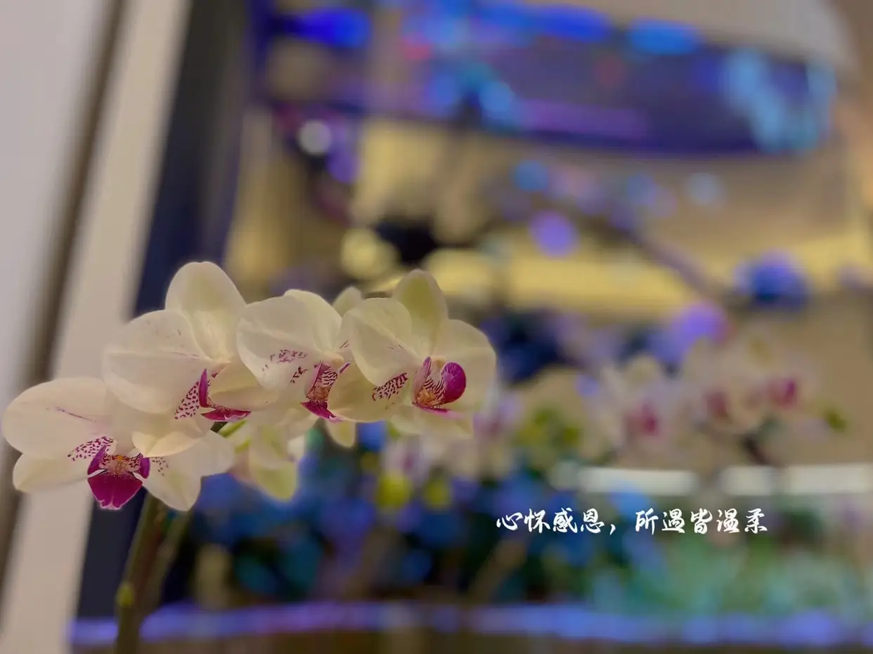 我家的奶油色客厅图片_3