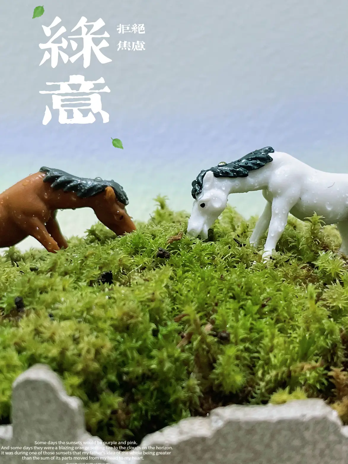 这个夏天，我把绿意装进去家里图片_0