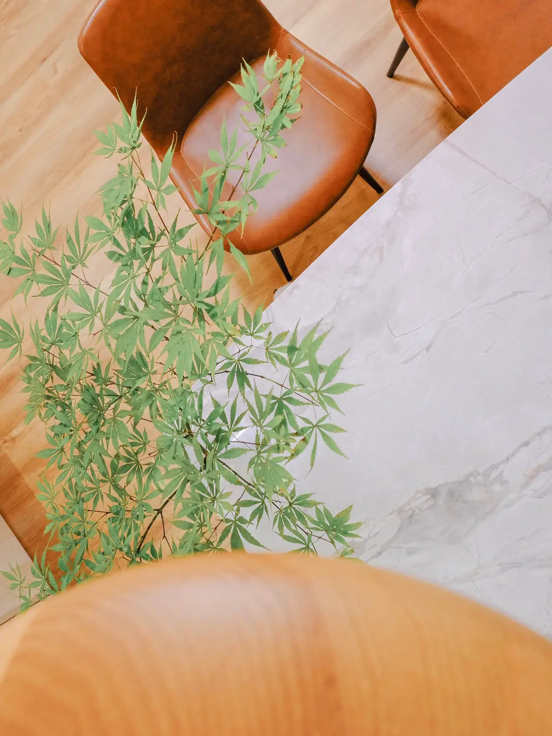 一狗两娃三餐四季，岩板餐桌独有的烟火气息图片_4