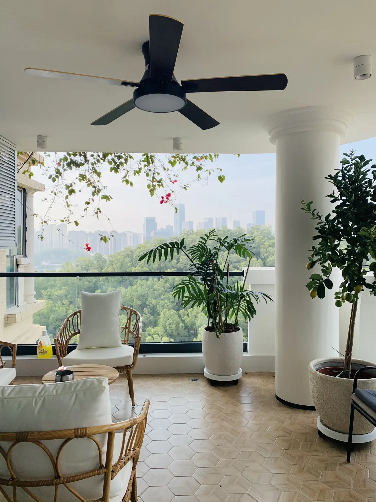 今天立春🌿来我家阳台感受春天的气息吧！图片_0