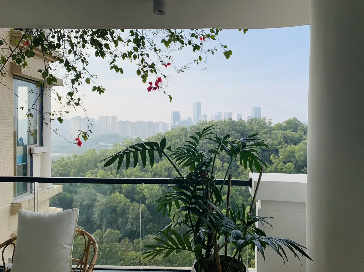 今天立春🌿来我家阳台感受春天的气息吧！图片_2