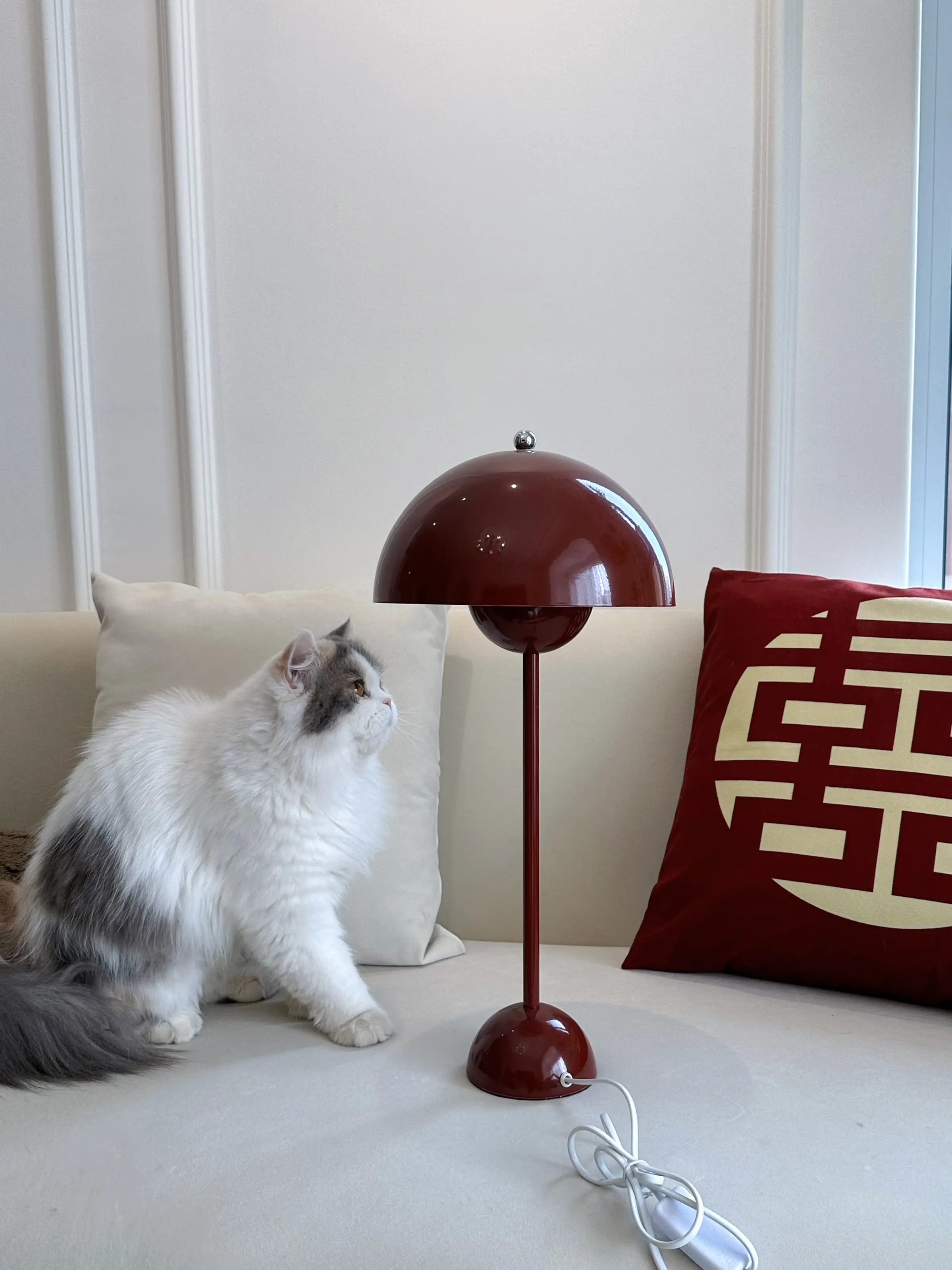 还有人不知道这个明星同款台灯吗？🎎图片_3