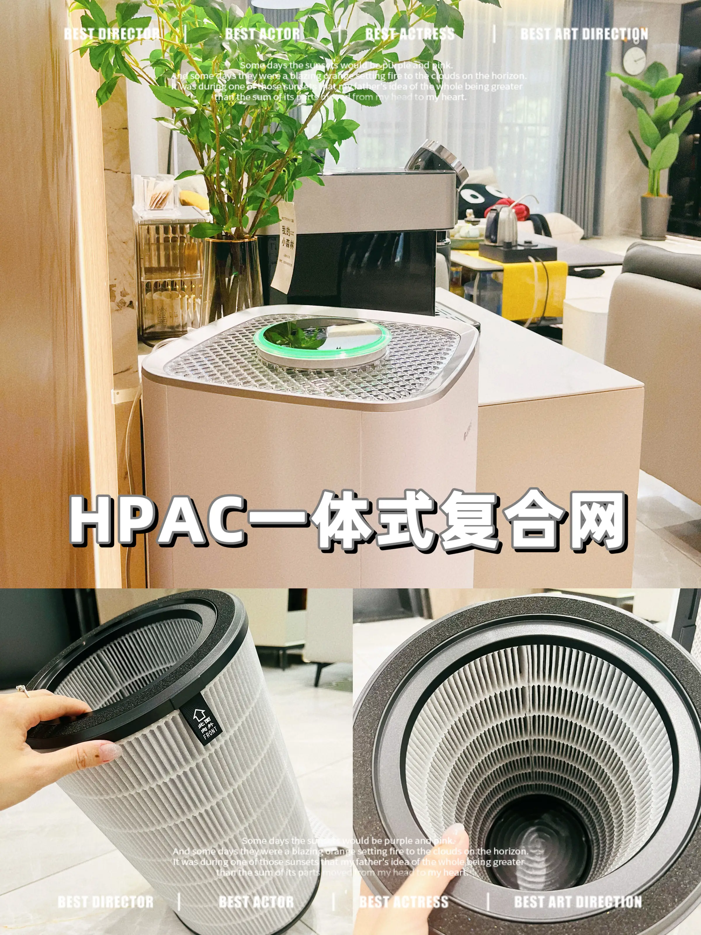 亲戚说我胆子真大，除醛1个月就敢搬家图片_5