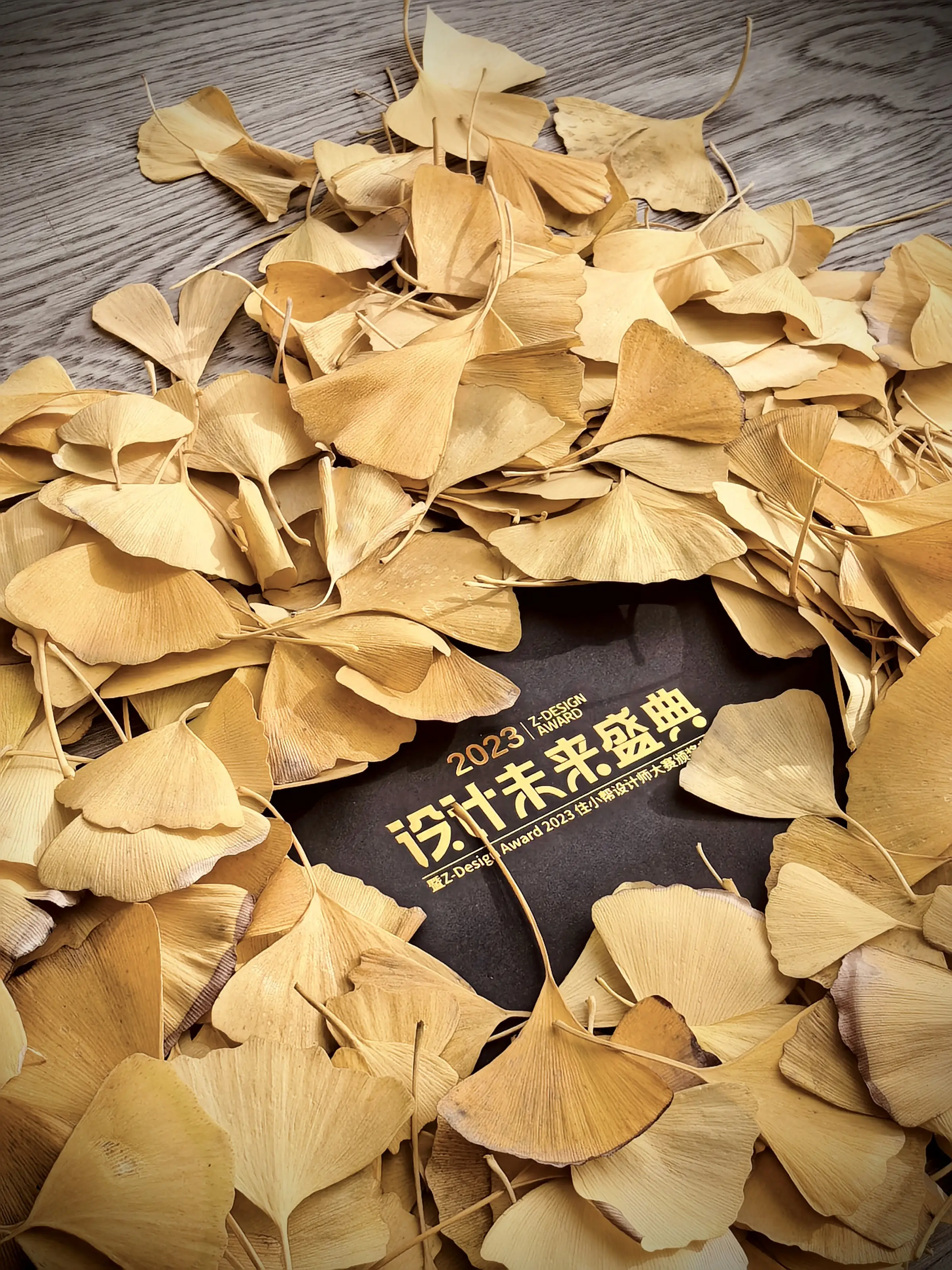深秋续到初冬的邀请函…图片_0