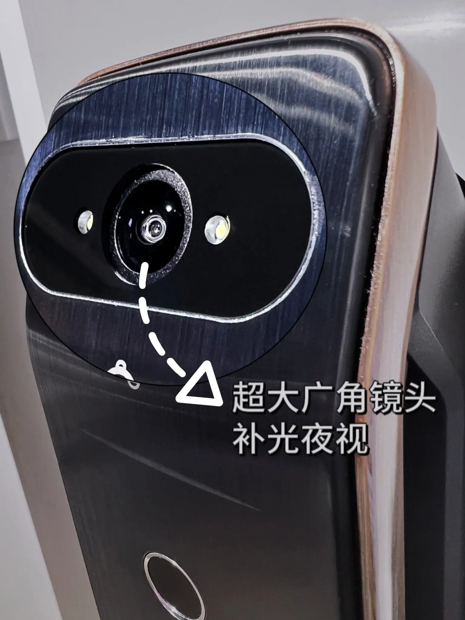 家门口保镖？独居也有满满安全感图片_2