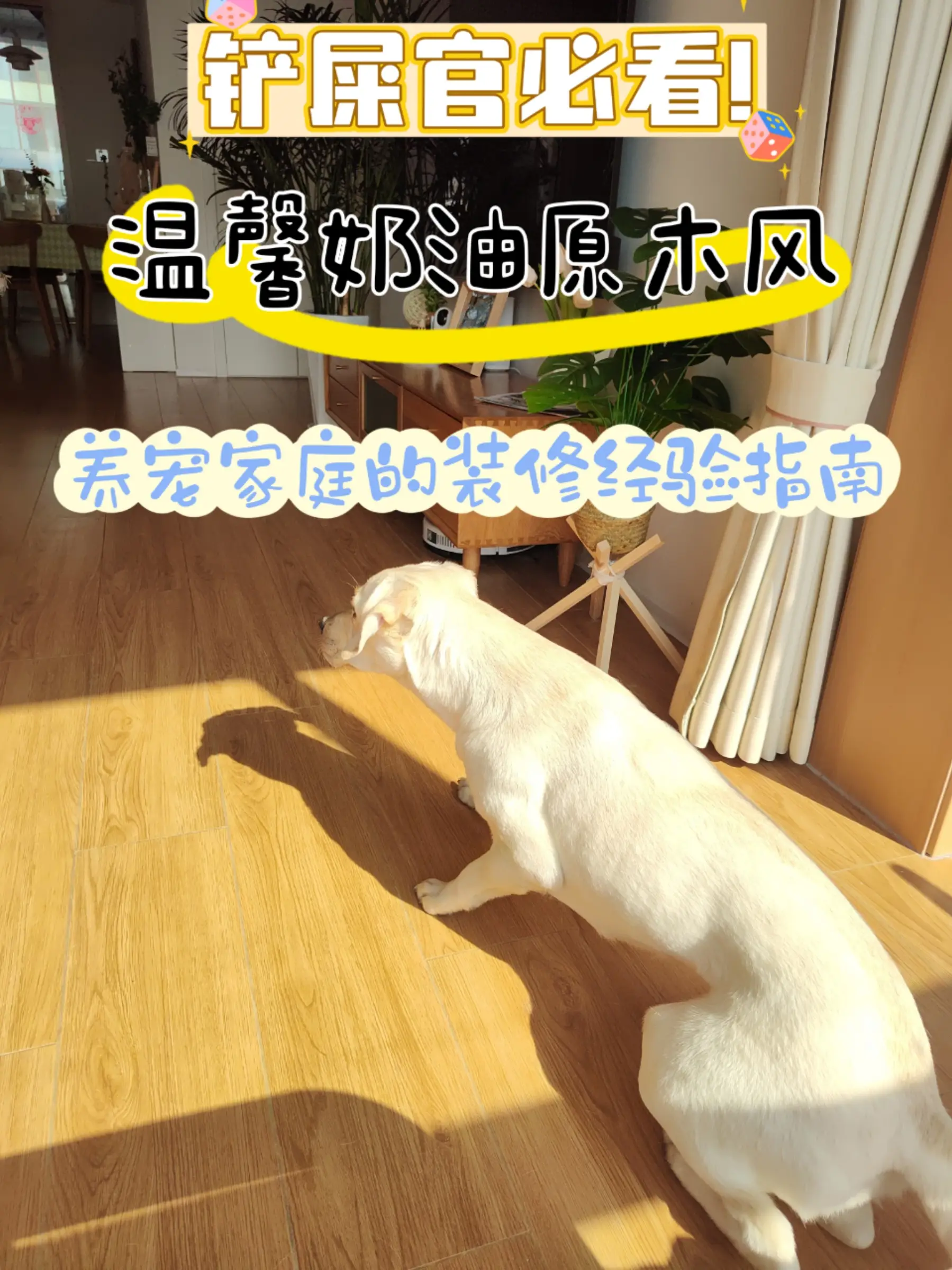 宠物友好设计！铲屎官福音，养宠家庭必看图片_0