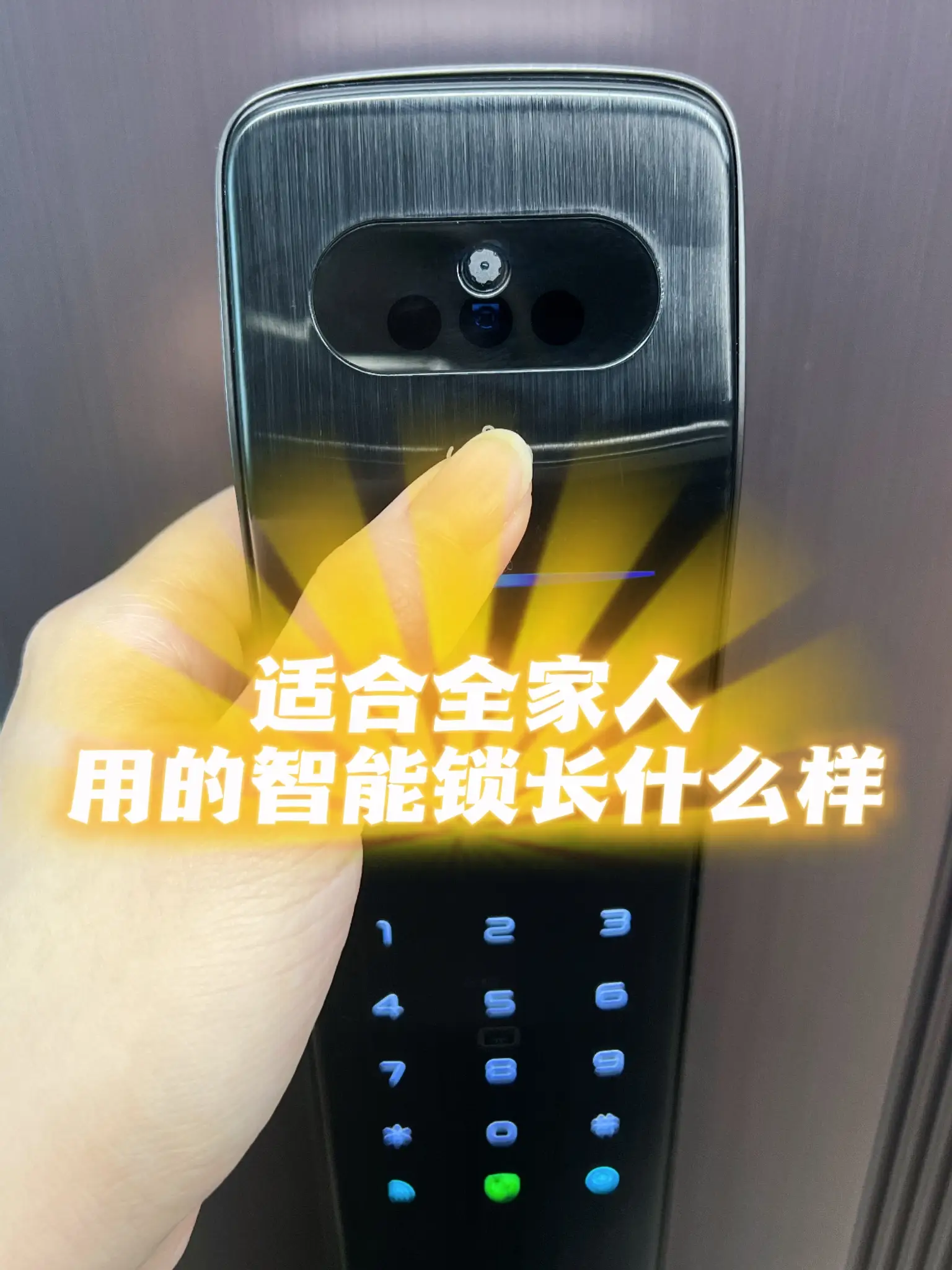 适合全家人用的智能锁长什么样图片_0