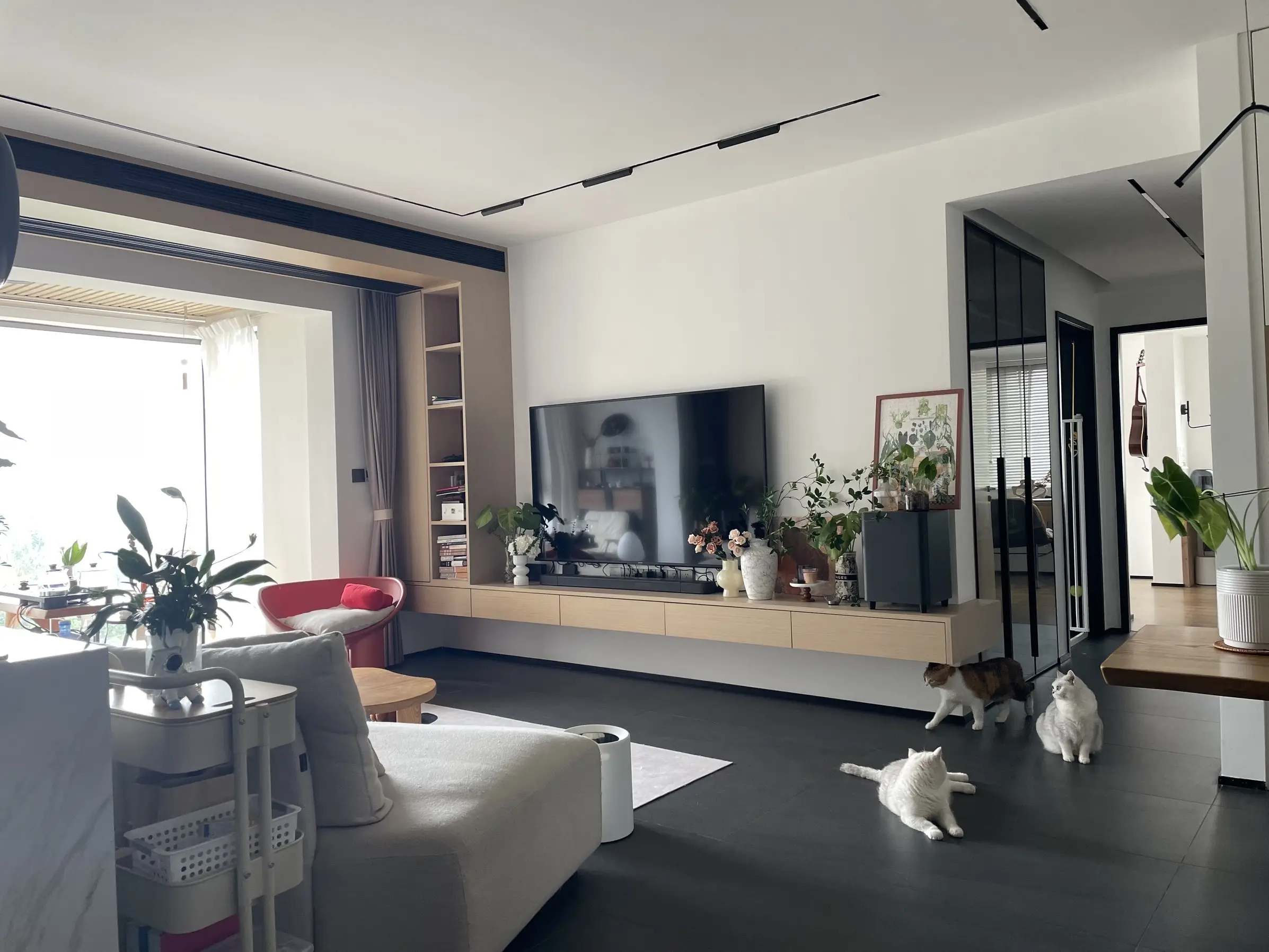 揭秘多宠家庭的真相，你中招了吗？图片_1