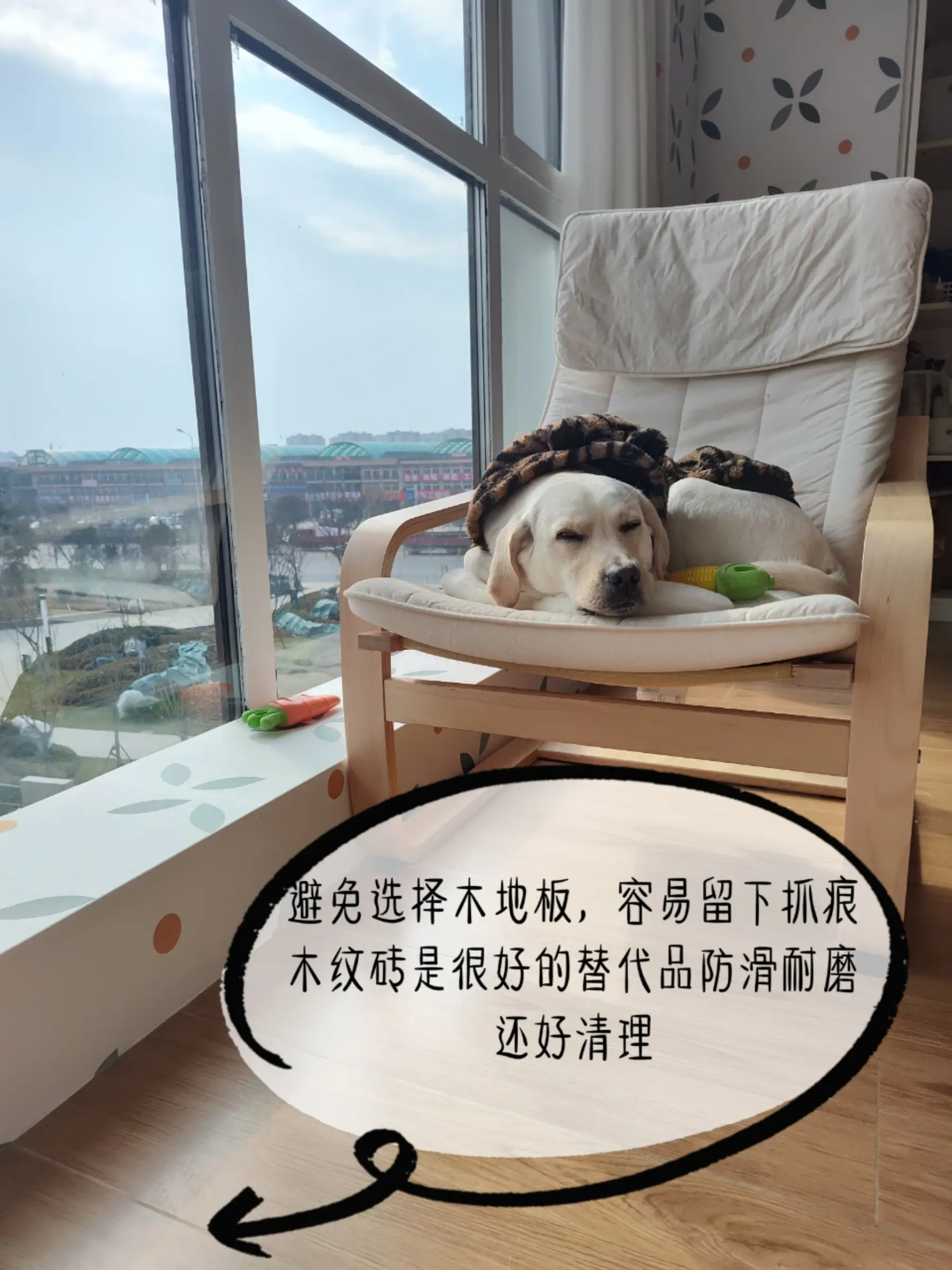 宠物友好设计！铲屎官自装房子必看！图片_1
