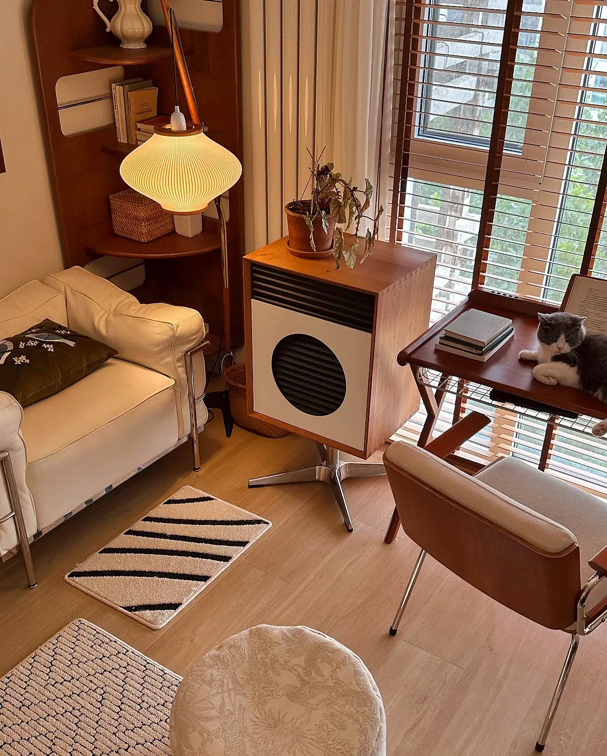 多巴胺风还没过🌈，又吹来了美拉德风🍂图片_3