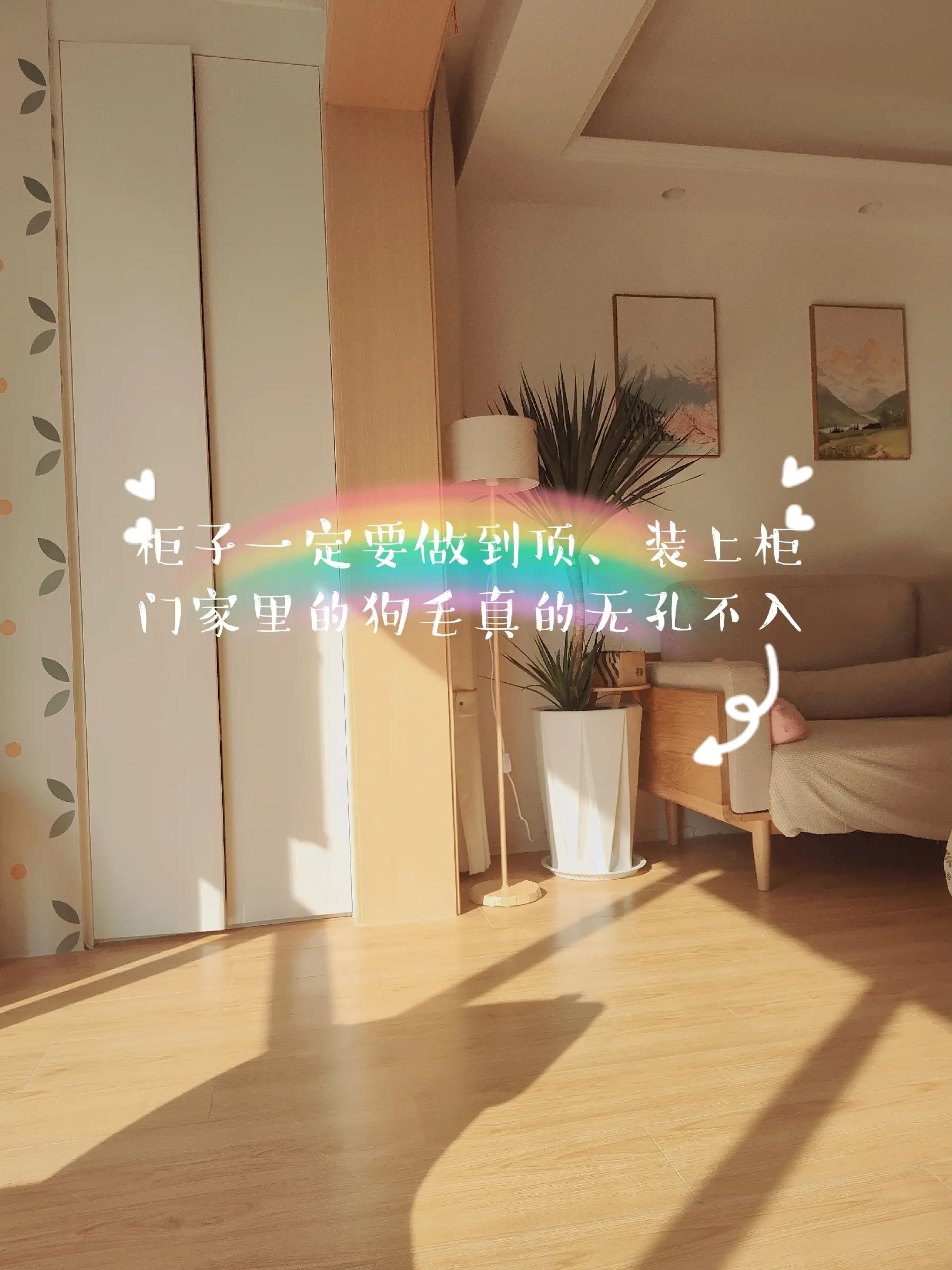 宠物友好设计！养宠物家庭铲屎官们必看图片_3