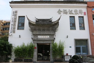 日照金蚂蚁装饰