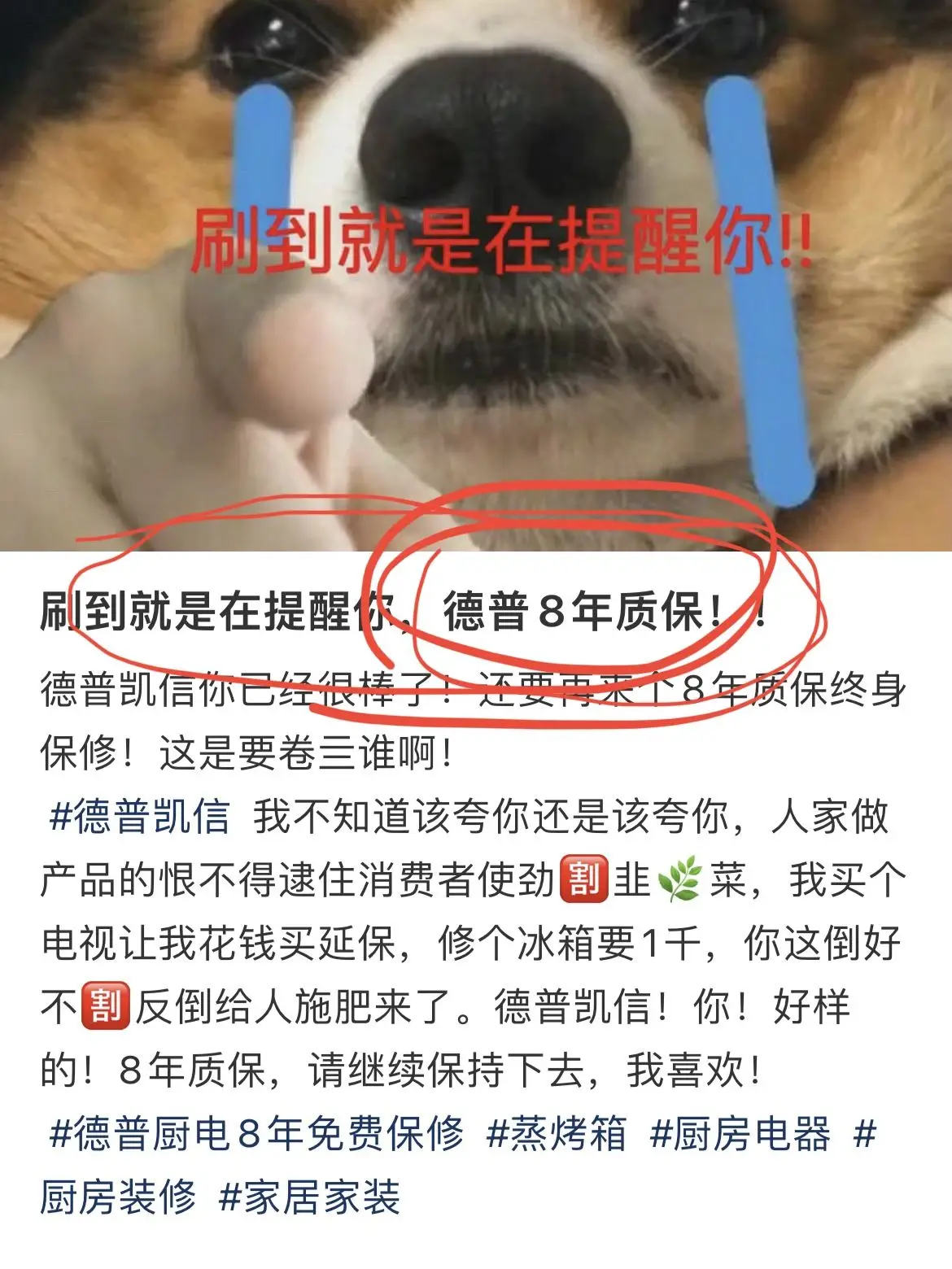 国货我该拿你怎么办？图片_0