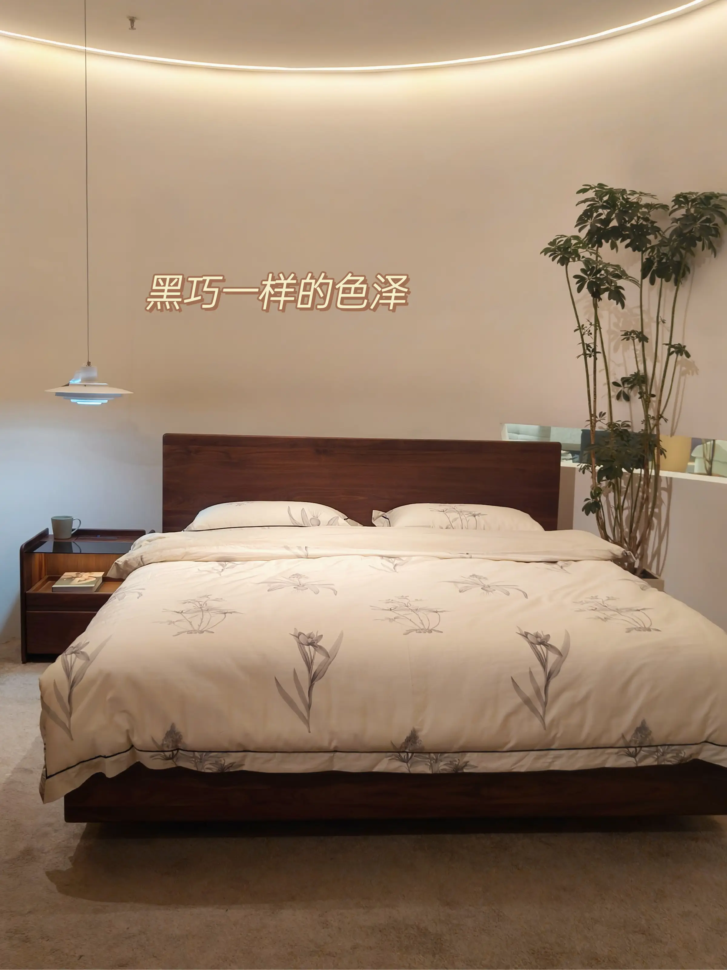 实木家具材质怎么选？看这一篇就够了！图片_6