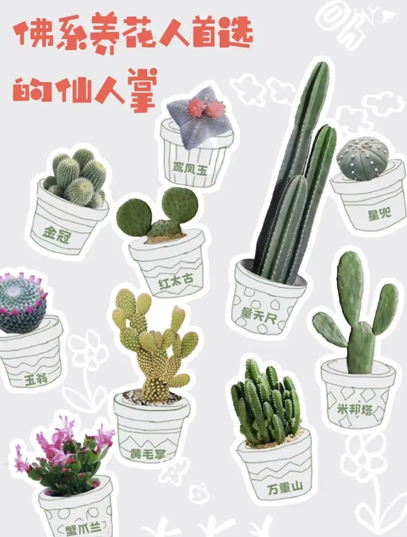 这些绿植放心养 | 绿植是家最好的软装！图片_5