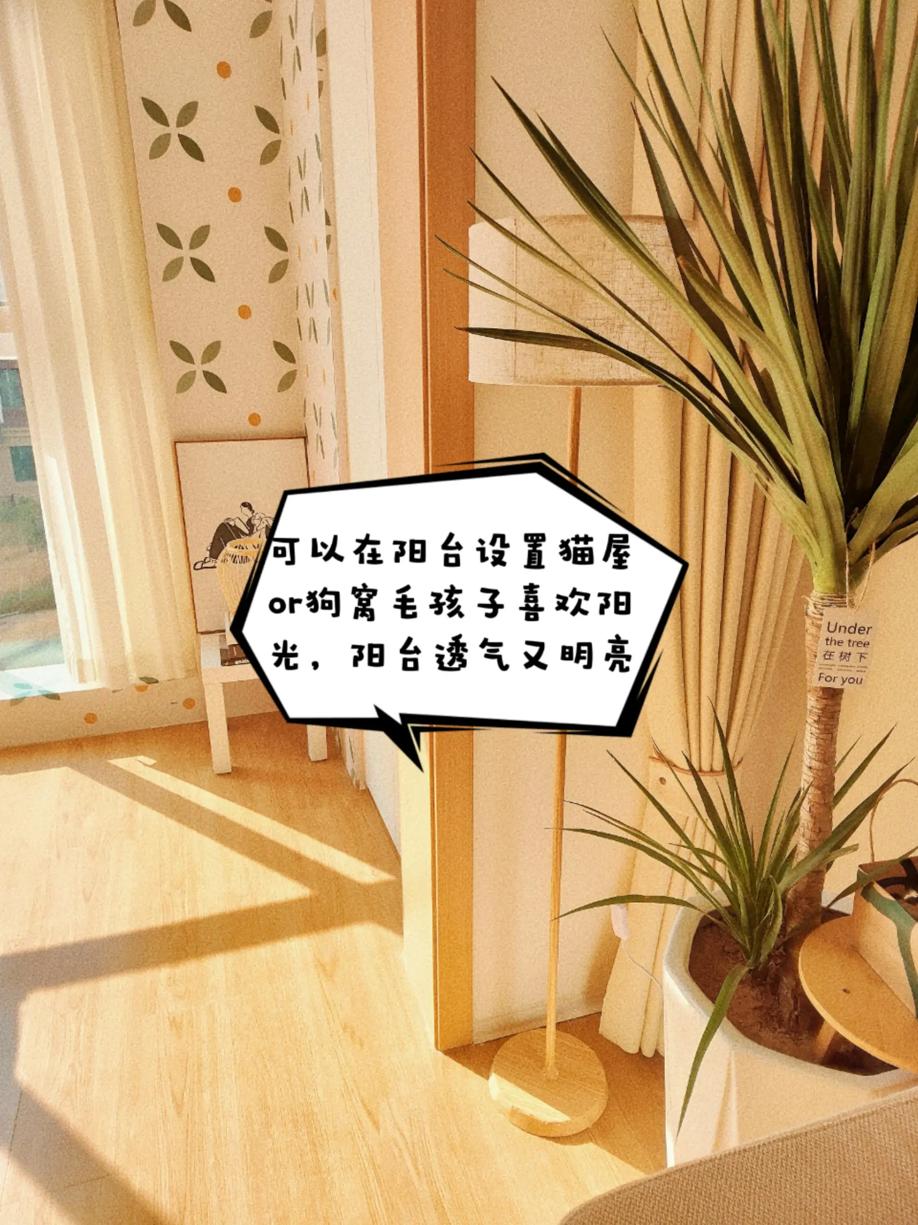 宠物友好设计!让小狗爱上新家叭！图片_3
