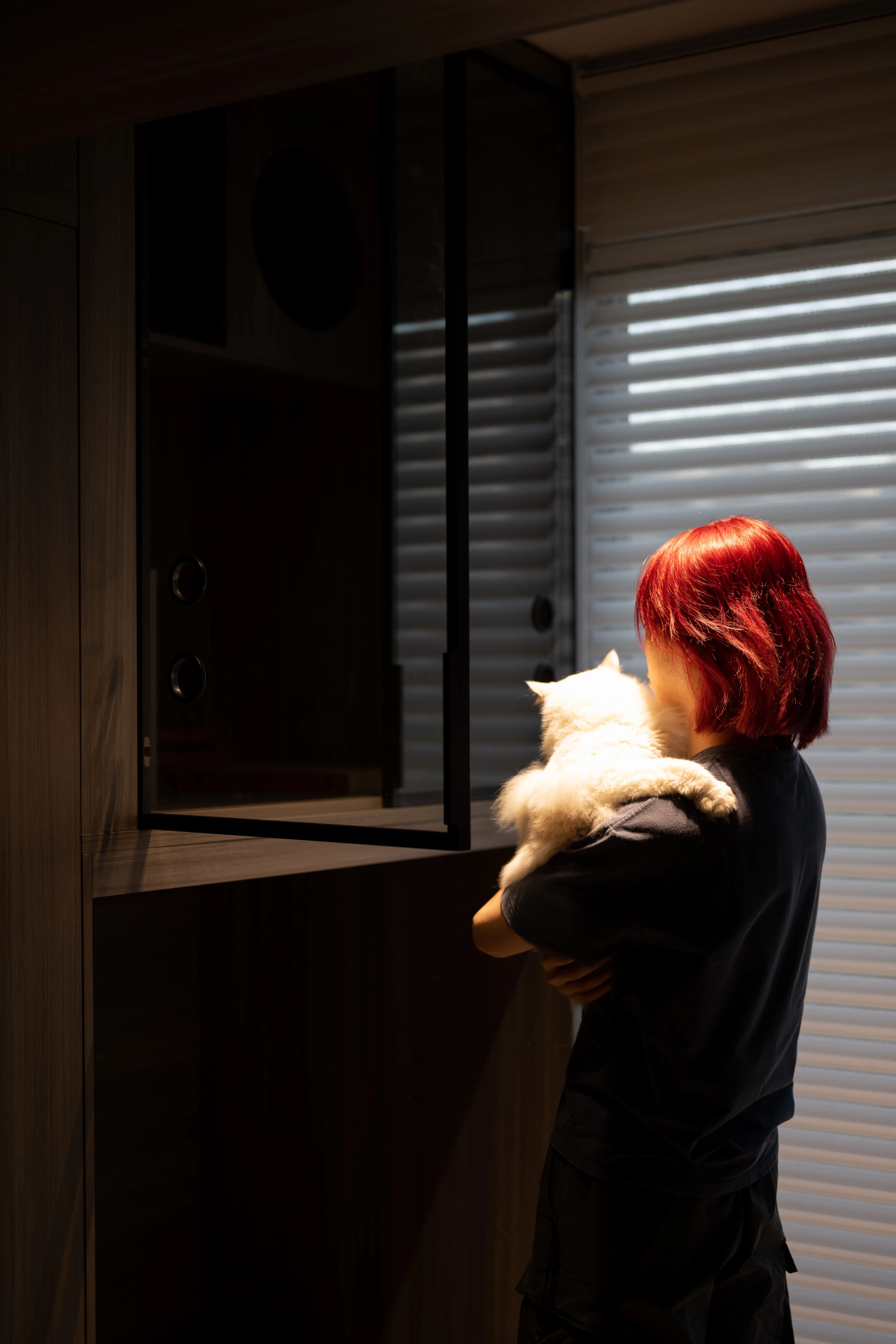 客阳台打造宠物专区，哈基米好幸福！图片_0