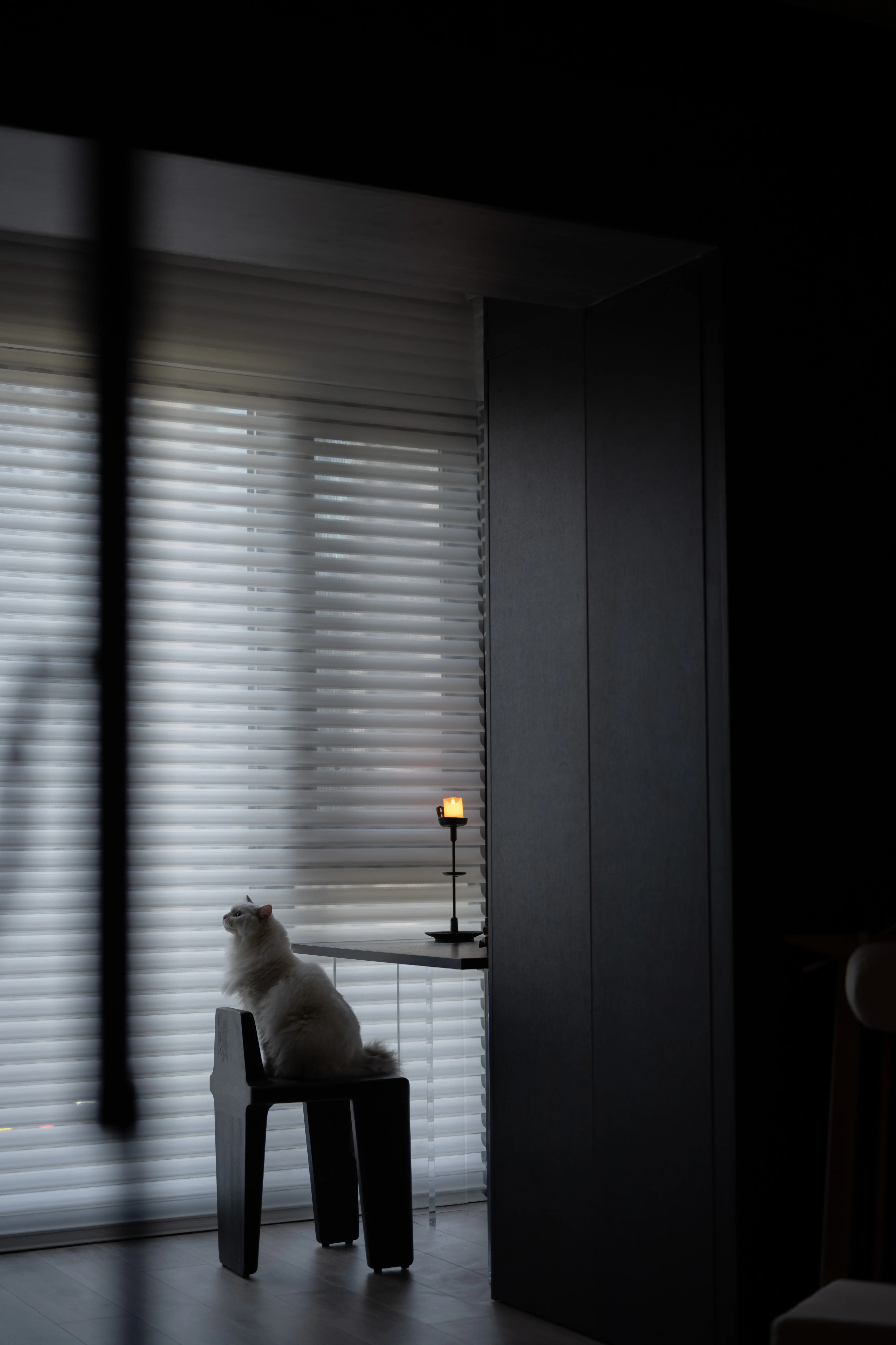 客阳台打造宠物专区，哈基米好幸福！图片_1