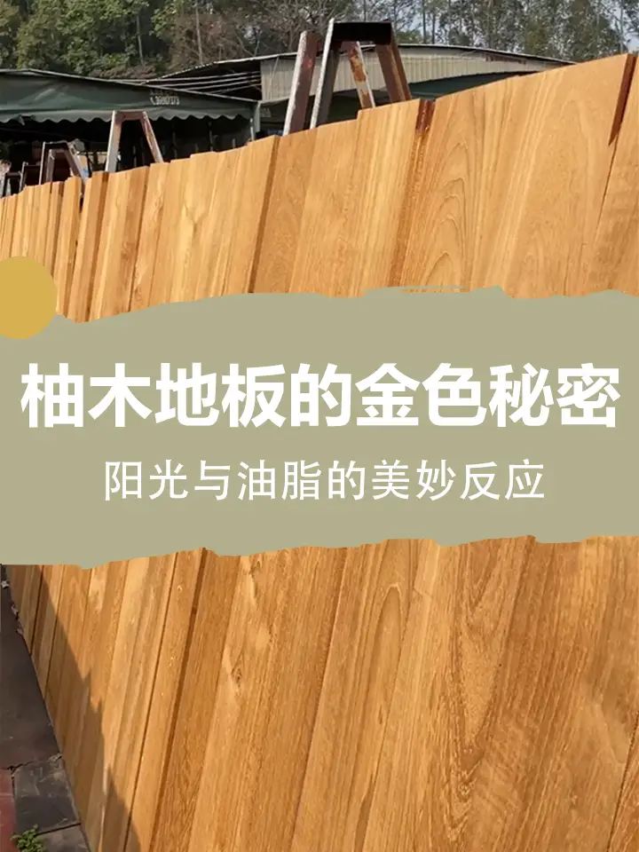 柚木地板的金色秘密，阳光与油脂的美妙反应