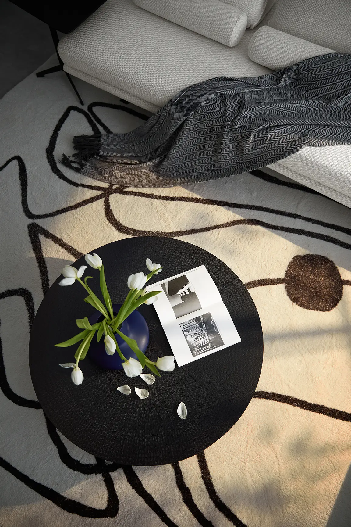 用植物装饰，让你的家焕然一新 🌿图片_6