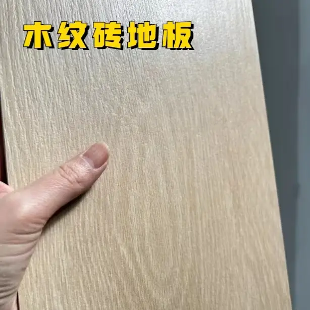 养宠一族必看，6点打造舒适宜居空间🐾图片_1