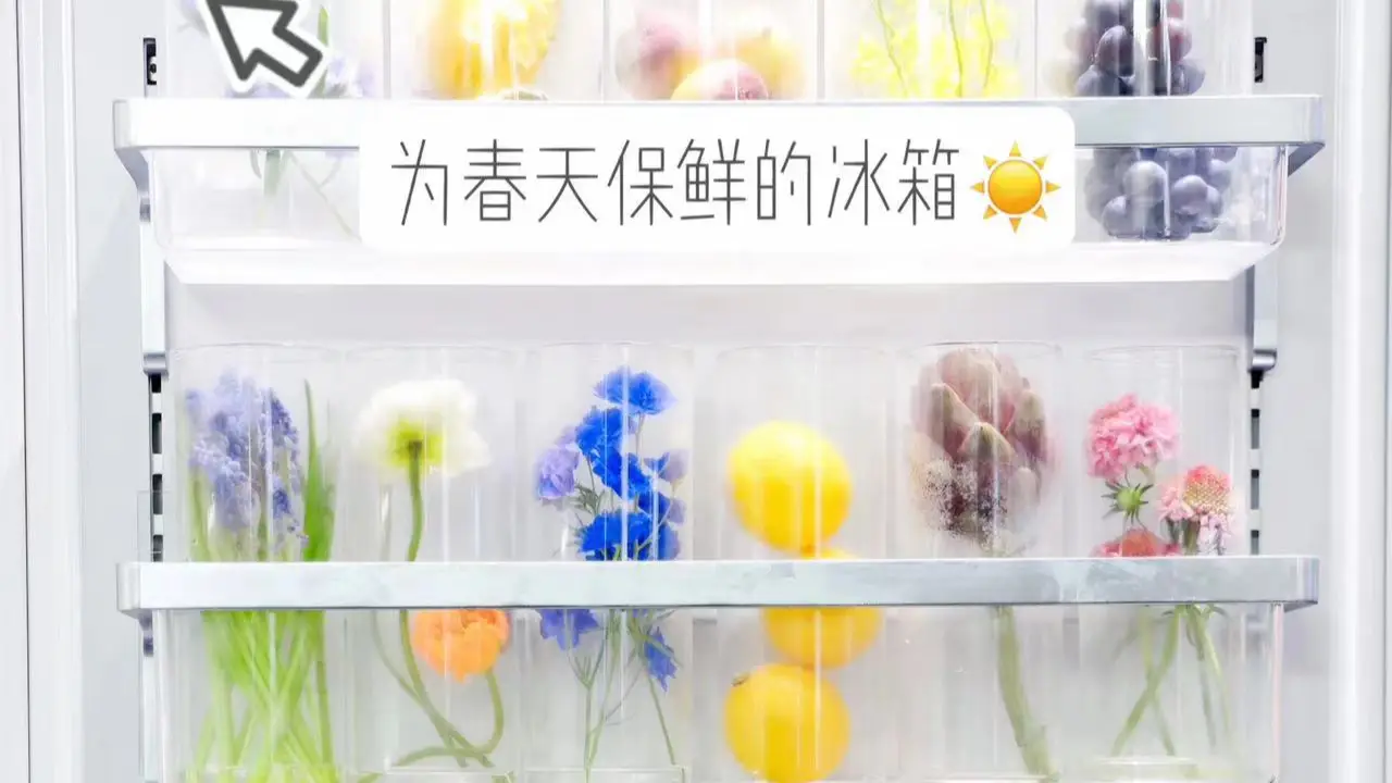 冰箱里的爱马仕｜富婆都在用的美诺冰箱