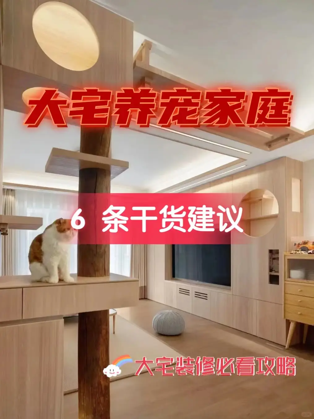 养宠一族必看，6点打造舒适宜居空间🐾图片_0