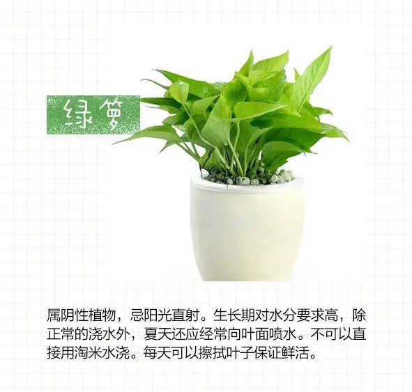 图片_1
