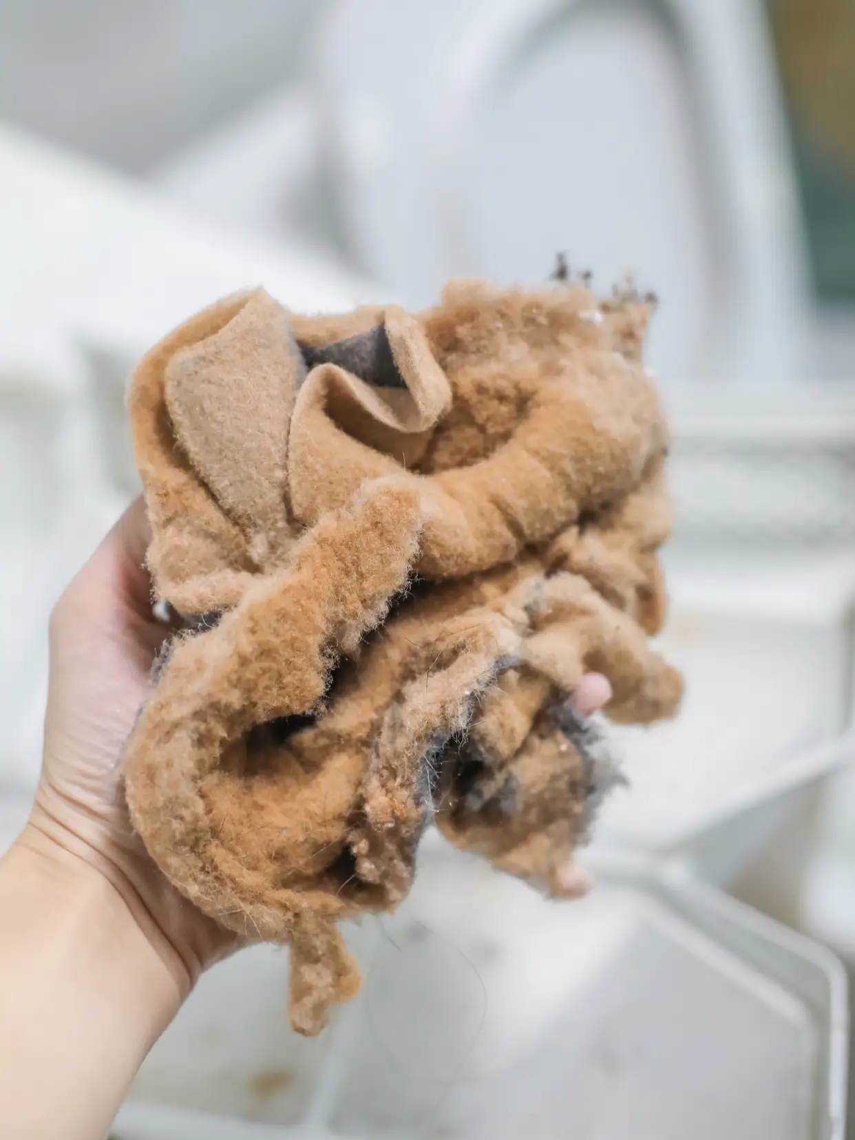 看完这些毛絮还觉得干衣机在北方多余吗？图片_7