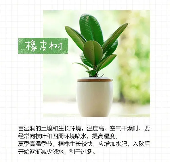 图片_6