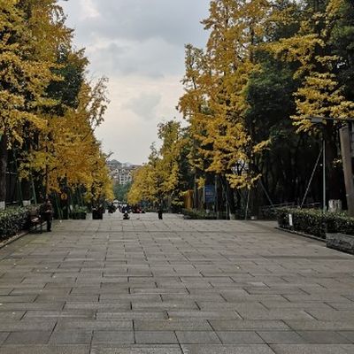 重庆YENOVA