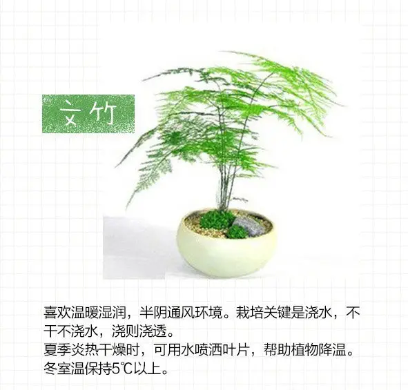 图片_2