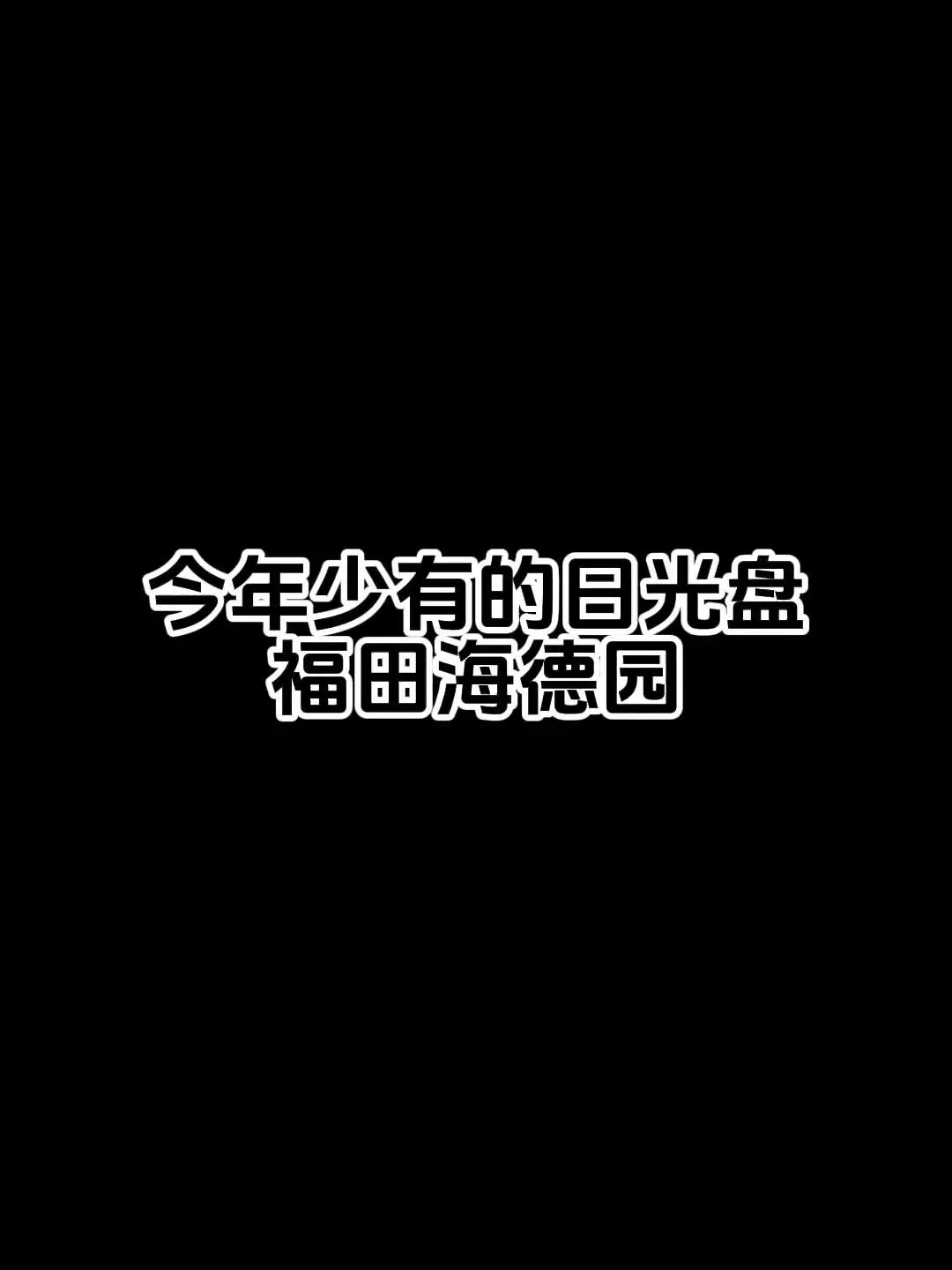 海德园户型分析 今年少有的日光盘