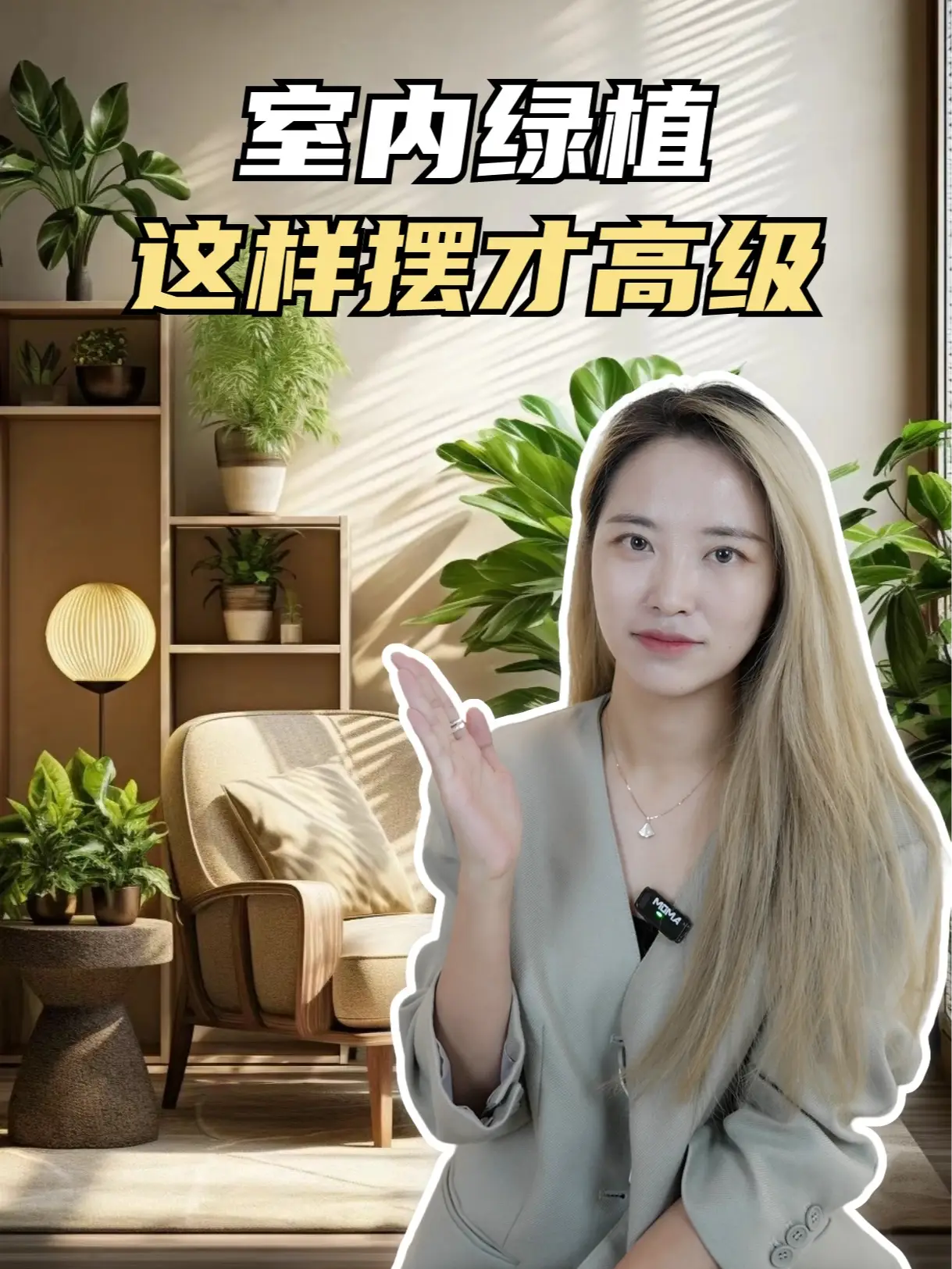 "室内绿植，让空间更加高级" 🌱